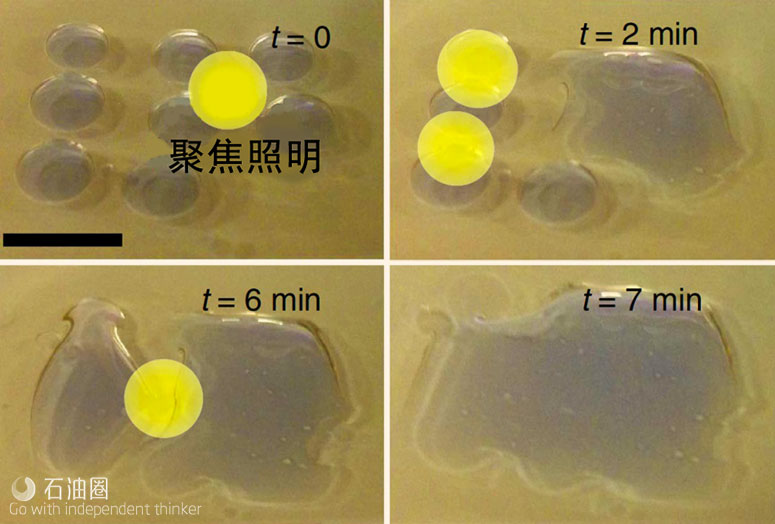 MIT研究新发现：仅凭可见光就可油水分离？