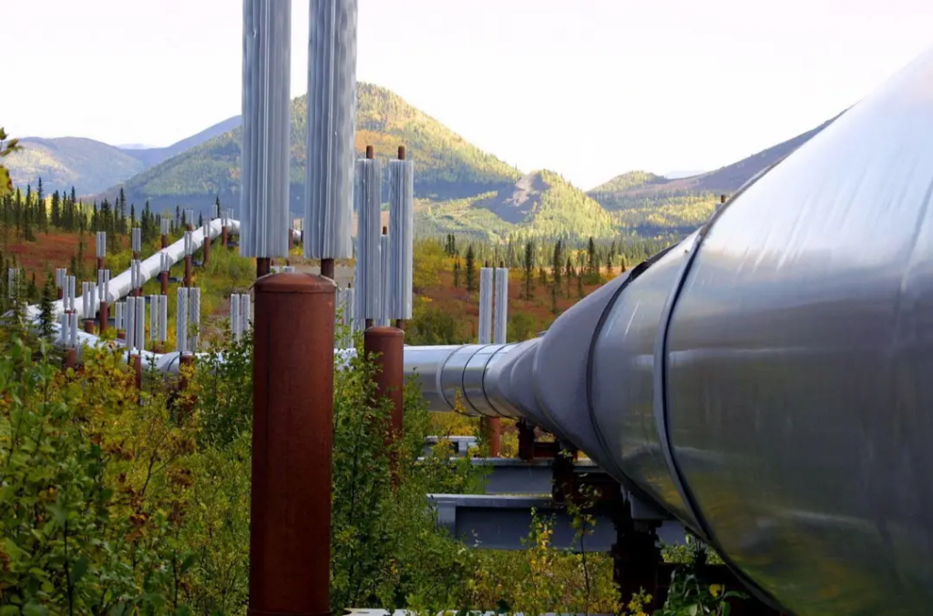 www.oilsns.com