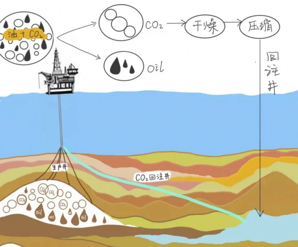 www.oilsns.com