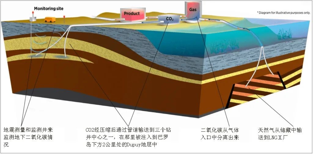 www.oilsns.com